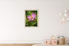 Load image into Gallery viewer, Tiny insect, purple flower, raindrops, rainforest, Oahu, Hawaii, Framed Matted Photo Print, Kids' room Interior, image