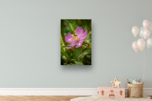 Load image into Gallery viewer, Tiny insect, purple flower, raindrops, rainforest, Oahu, Hawaii, Metal Art Print, Kids' room Interior, image
