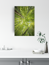Load image into Gallery viewer, Abstract photography, green bamboo, sky view, Lulumahu Falls, Oahu, Hawaii, Metal Art Print, Kitchen Interior, Image