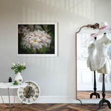 Load image into Gallery viewer, White, Pink, plumeria flowers, bouquet, Oahu, Hawaii, Framed Matted Photo Print, Bedroom, Dressing Room Interior, Image