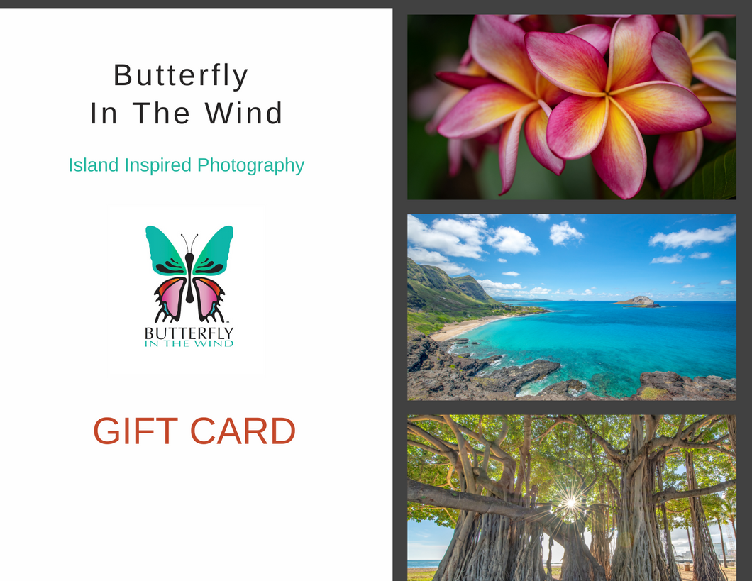 Butterfly In The Wind Gift Card