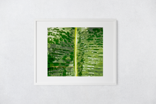 Load image into Gallery viewer, Closeup, Abstract, Green Leaf, Raindrops, Kaneohe, Oahu, Hawaii, Matted Photo Print, Image