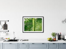Load image into Gallery viewer, Closeup, Abstract, Green Leaf, Raindrops, Kaneohe, Oahu, Hawaii, Framed Matted Photo Print, Kitchen Interior, Image
