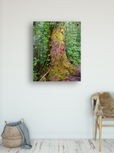 Load image into Gallery viewer, Yellow moss covered tree, lush rainforest Manoa Valley, Oahu, Hawaii, Metal Art Print, Entryway Interior, Image