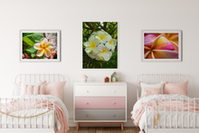 Load image into Gallery viewer, Pastel pink, yellow, plumeria flower, Oahu, Hawaii, White Plumerias, Flowers, Leaves, Yellow Frond, Green Leaf, Pink and Yellow, Plumeria, Flower Petals, Macro, Closeup Kids' Room Interior, Matted Photo Print, Image