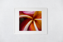Load image into Gallery viewer, Macro, Pink, Orange, Plumeria Petals, Flower, Oahu, Hawaii, Matted Photo Print, Image