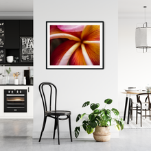 Load image into Gallery viewer, Macro, Pink, Orange, Plumeria Petals, Flower, Oahu, Hawaii, Framed Matted Print, Interior Entryway, Image