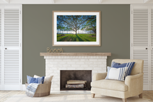 Load image into Gallery viewer, Tree, Branches, Beach Park, Ocean, Sun, Shadows, Waikiki, Oahu, Hawaii, Framed Matted Art Print, Living Room Interior, Image