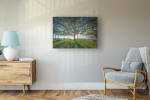 Load image into Gallery viewer, Tree, Branches, Beach Park, Ocean, Sun, Shadows, Waikiki, Oahu, Hawaii, Metal Art Print, Bedroom Interior, Image