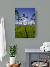 Load image into Gallery viewer, Blue sky, Green Grass, Palm Trees, Sun, Ocean, Shadows, Waikiki Beach Park, Oahu, Hawaii, Metal Art Print, Bathroom Interior, Image
