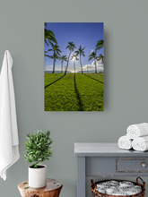 Load image into Gallery viewer, Blue sky, Green Grass, Palm Trees, Sun, Ocean, Shadows, Waikiki Beach Park, Oahu, Hawaii, Metal Art Print, Bathroom Interior, Image