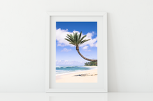 Load image into Gallery viewer, Coconut Palm Tree, Sand, Ocean, Clouds, North Shore, Oahu, Hawaii, Matted Photo Print, Image