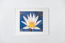 Load image into Gallery viewer, Water Lily, Oahu, Hawaii, Framed Matted Print, Image