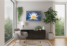 Load image into Gallery viewer, Water Lily, Oahu, Hawaii, Reading Room Interior, Image