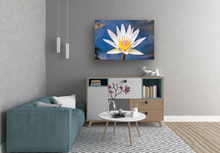 Load image into Gallery viewer, Water Lily, Oahu, Hawaii, Zen Room Interior, Image