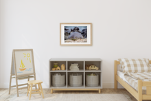Load image into Gallery viewer, Hawaiian Monk Seal, Coral, Rocks, Ocean, Ka'ena Point, Oahu, Hawaii, Framed Matted Photo Print, Kids' Bedroom, Image