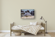 Load image into Gallery viewer, Hawaiian Monk Seal, Coral, Rocks, Ocean, Ka'ena Point, Oahu, Hawaii, Metal Art Print, Kids' Bedroom, Image