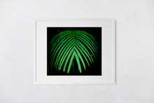 Load image into Gallery viewer, Green Palm Frond, dark background, Rainforest, Oahu, Hawaii, Matted Photo Print, Image