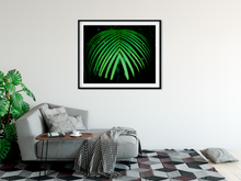 Load image into Gallery viewer, Green Palm Frond, dark background, Rainforest, Oahu, Hawaii, Framed Matted Photo Print, Living Room Interior, Image