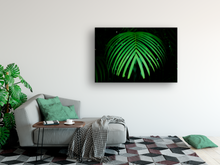 Load image into Gallery viewer, Green Palm Frond, dark background, Rainforest, Oahu, Hawaii, Metal Art Print, Living Room Interior, Image
