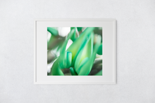 Load image into Gallery viewer, Jade vine plant, macro photography, abstract, Oahu, Hawaii, Framed Matted Photo Print, Image