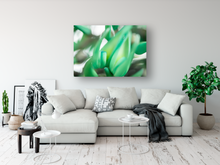 Load image into Gallery viewer, Jade vine plant, macro photography, abstract, Oahu, Hawaii, Metal Art Photo Print, Living Room Interior, Image