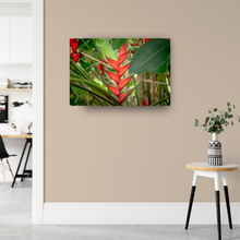 Load image into Gallery viewer, Red heliconias, lush green jungle foliage, Oahu, Hawaii, Metal Art Print, Interior Entryway, Image