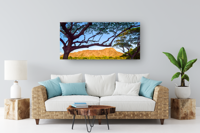 Diamond Head, Trees, Kapi’olani Park, Waikiki, Oahu, Hawaii, Metal Art Print, Living Room Interior, Image