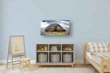 Load image into Gallery viewer, Hawaiian green sea turtle, Ocean, Rocky Shore, North Shore, Oahu, Hawaii, Metal Art Print, Kids' Room Interior, Image