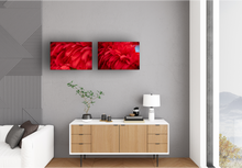Load image into Gallery viewer, Red flower petals, closeup, macro, Manoa, Oahu, Hawaii, Metal Art Print, Living Room Interior, Image