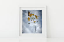 Load image into Gallery viewer, Life Moves On