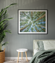 Load image into Gallery viewer, Cook Pine Trees, Sky, Oahu, Hawaii, Framed Matted Photo Print, Interior Bedroom, Image