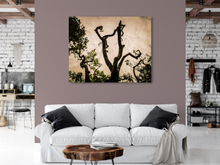 Load image into Gallery viewer, Tree silhouette, Leaves, Clouds, Abstract, Oahu, Hawaii, Metal Art Print, Interior Living Room, Image
