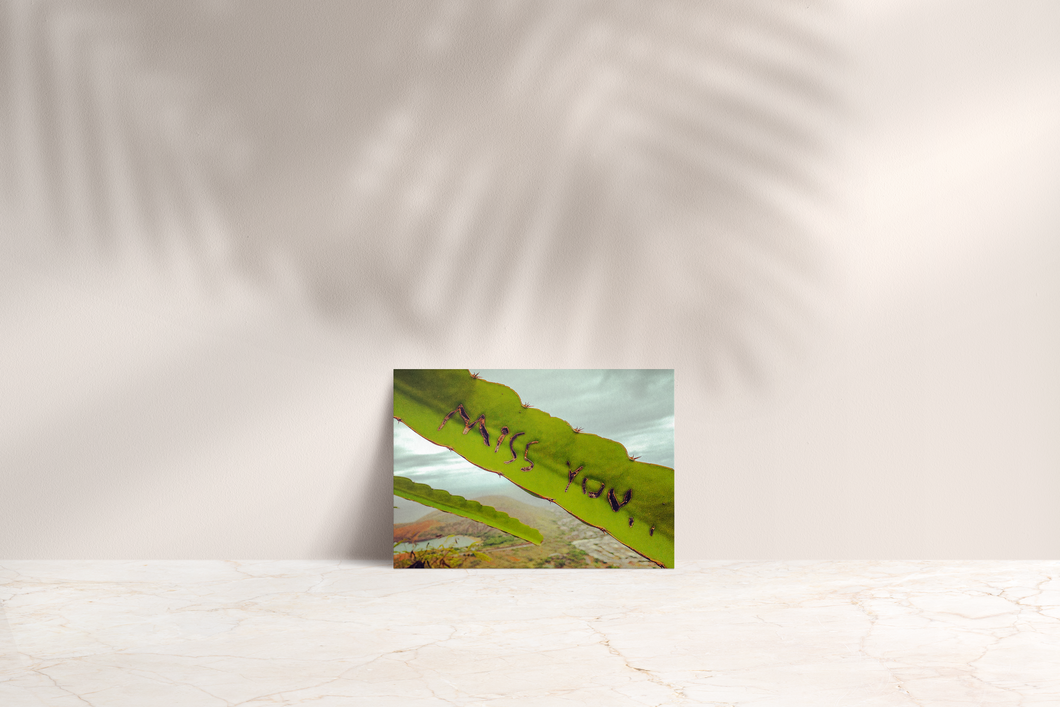 Miss You, Plant Leaf, Hanauma Bay, Cloudy Sky, Oahu, Hawaii, Folded Note Card, Image