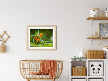 Load image into Gallery viewer, Orange Monarch Butterfly, Red and Yellow Flowers, Green Plants Background, Oahu, Hawaii, Matted Photo Print, Kids' Room Interior,  Image