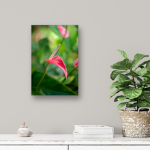 Load image into Gallery viewer, Pink Anthurium, Green Rainforest, Manoa, Oahu, Hawaii, Metal Art Photo Print, Hallway Interior, Image