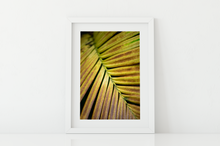 Load image into Gallery viewer, Yellow and rust frond, Plant, Closeup, Oahu, Hawaii, Matted Photo Print, Image