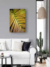Load image into Gallery viewer, Yellow and rust frond, Plant, Closeup, Oahu, Hawaii, Metal Art Print, Living Room Interior,  Image