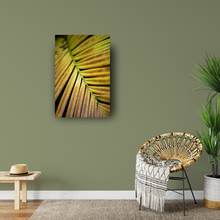 Load image into Gallery viewer, Yellow and rust frond, Plant, Closeup, Oahu, Hawaii, Metal Art Print, Interior Entryway,  Image