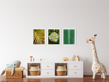 Load image into Gallery viewer, White Plumerias, Flowers, Leaves, Yellow Frond, Green Leaf, Oahu, Hawaii, Kids' Room Interior,  Matted Photo Print, Image