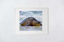 Load image into Gallery viewer, Hawaiian Green Sea Turtle, Ocean, North Shore, Oahu, Hawaii, Matted Photo Print, Image