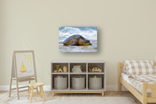 Load image into Gallery viewer, Hawaiian Green Sea Turtle, Ocean, North Shore, Oahu, Hawaii, Metal Art Print, Kids' Room Interior, Image