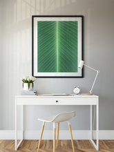 Load image into Gallery viewer, Closeup, Green Leaf, Symmetrical Lines, Oahu, Hawaii, Framed Matted Photo Print, Home Office Interior, Image