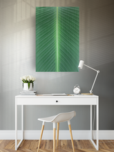 Load image into Gallery viewer, Closeup, Green Leaf, Symmetrical Lines, Oahu, Hawaii, Metal Art Print, Home Office Interior, Image