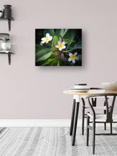 Load image into Gallery viewer, Three Purple, White, Yellow Plumeria Flowers, Green Leaves, Oahu, Hawaii, Metal Art Print, Kitchen Interior, Image