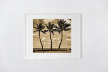 Load image into Gallery viewer, Black and White, Three Coconut Palm Trees, Ocean, Puffy Clouds, Sky, Oahu, Hawaii, Matted Photo Print, Image