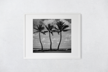 Load image into Gallery viewer, Black and White, Three Coconut Palm Trees, Ocean, Puffy Clouds, Sky, Oahu, Hawaii, Matted Photo Print, Image