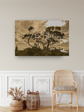 Load image into Gallery viewer, Sepia Tones, Ohia Tree, Clouds, Foliage, Silhouette, Oahu, Hawaii, Metal Art Print, Entryway Interior, Image