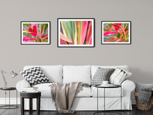 Load image into Gallery viewer, Tropical Colors 1