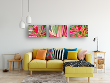 Load image into Gallery viewer, Tropical Colors 3